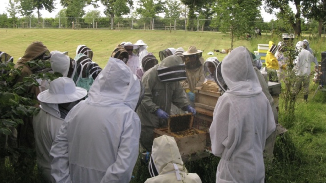 an-inspector-calls-apiary-meeting-at-byfleet-manor-apiary-saturday